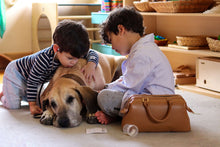 Load image into Gallery viewer, Montessori Medic Doctor Bag
